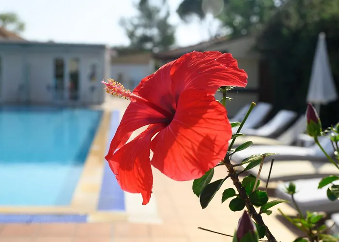 Hotel Cavomarina Beach- Adults Only