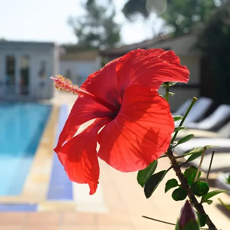 Otel Cavomarina Beach- Adults Only